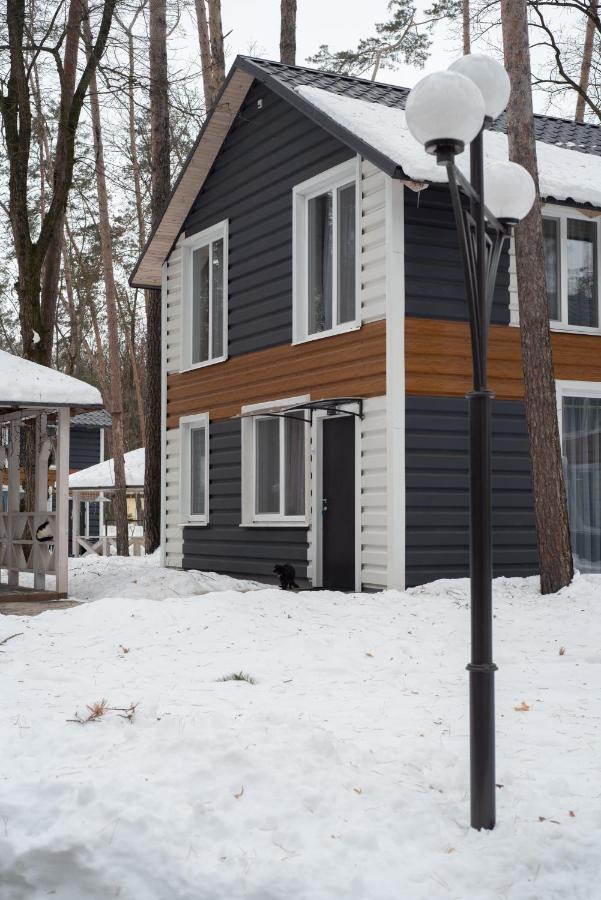 Клуб Відпочинку Dacha Villa Sokirno Eksteriør billede