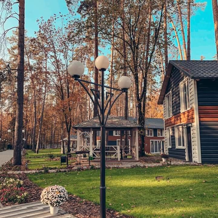 Клуб Відпочинку Dacha Villa Sokirno Eksteriør billede